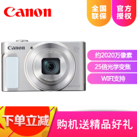佳能（Canon）PowerShot SX620 HS 数码相机 旅游家用办公长焦 25倍变焦 银色CMOS锂电送大礼包