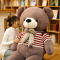 艾蓓妮 可爱泰迪熊毛绒玩具熊猫大号公仔布娃娃抱抱熊 围巾熊丝带熊抱心熊玩偶情人节礼物女生