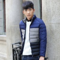 骆菲诗2015冬季新款男士棉衣立领外套羽绒棉服保暖韩版男装 男士商务休闲棉服GD195款