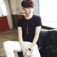 骆菲诗2016春季男式短袖立领t恤韩版男装修身男短袖T恤衫