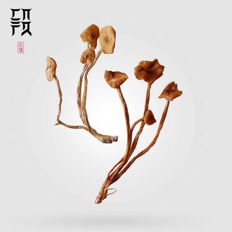 白族段妈妈/茶树菇/农家云南高原菌菇 100g图片