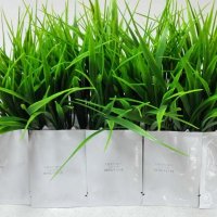 农民公社 大麦若叶青汁粉末 越冬嫩苗提取 3g*22