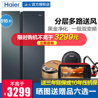 海尔电冰箱616L大容量对开双开门家用一级节能效变频嵌入风冷无霜BCD-616WGHSSEDC9