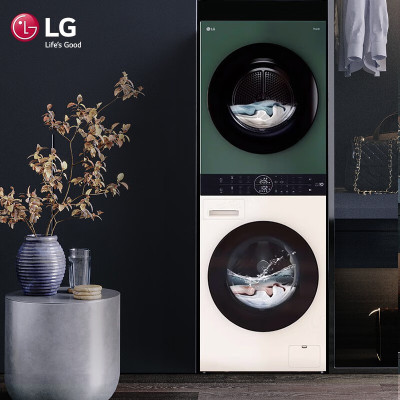 LG洗烘套装13Kg全自动滚筒洗衣机+10Kg双变频热泵式烘干机 拼色一体机 [绿+白]洗烘塔FN231QH