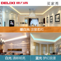 DELIXI 德力西家用灯带无导线LED贴片灯带吊顶霓虹灯带暗槽灯软条光带5W中性光4000K