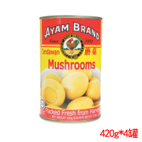 4罐装▏ AYAM BRAND 雄鸡标 蘑菇 420g 马来西亚进口 罐装 蔬菜罐头