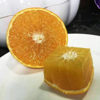【中华特色】武汉馆 冰糖橙9斤中果55mm甜橙子新鲜水果非麻阳 永兴冰糖橙 华中