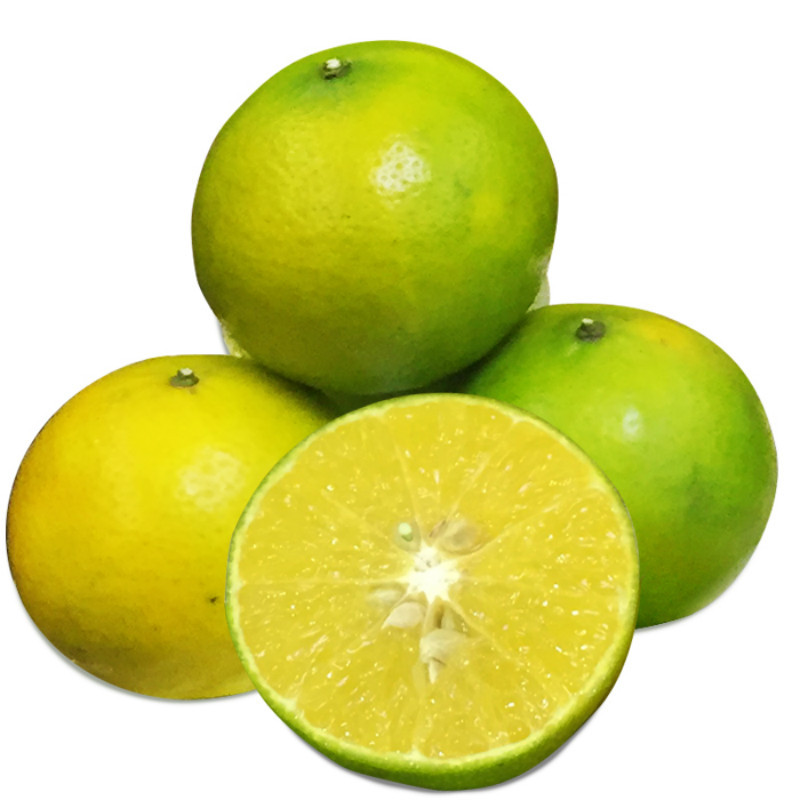 环球生意网柑橘类 【中华特色馆】武汉馆 正宗皇帝柑贡柑 新鲜水果清