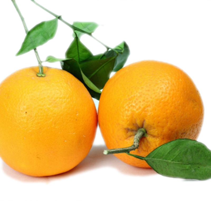 【中华特色】武汉馆 九月红脐橙精选大果带箱10斤 橙子酸甜橙子 华中