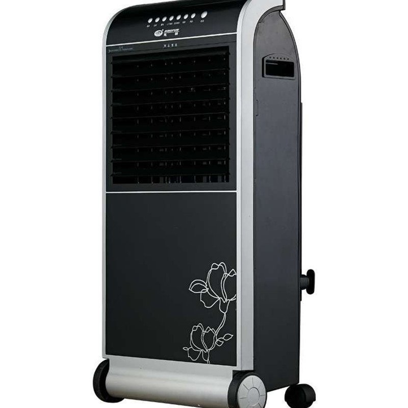 先锋遥控冷暖冷风扇lrl05-10gr(dg1011)