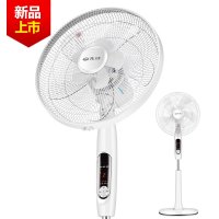 先锋(SINGFUN）电风扇DD1605 十风叶大风量 家用落地扇