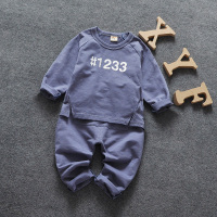 新款秋装宝宝童装男童女婴儿童衣服卡通长袖两件套