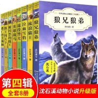 沈石溪动物小说全集系列品藏书系全套8册正版狼兄狼弟三四五六年级必读初中小学生课外阅读书籍10-15岁儿童读物狼王梦畅