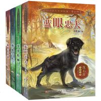 沈石溪动物小说全集奇幻书系4册作品 聪明笨笨猪+蓝眼忠犬+蛮雄蜣螂+热血羊娃 6-12-15岁儿童三六年级小学生课外