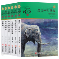 正版 沈石溪动物小说第二辑全集全套6册 最后一头战象站象大象 沈石溪精选品藏书系8-9-10-12-15岁课外书动