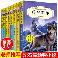 沈石溪动物小说全集系列全套8册正版 儿童读物7-10-12-15岁 三四五年级课外书必读的六年级初中小学生课外阅读书
