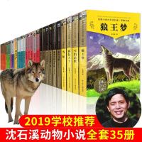 正版 沈石溪动物小说大全集/套35册 含动物小说大王品藏书系全6季(28册)+系列典藏(4册)+感悟生命书系(