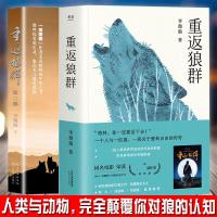 重返狼群+重返狼群2(2册)李微漪著 中国儿童文学 姜戎同名电影原著小说 现当代文学小说介绍狼群书小狼 书排行榜