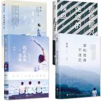 正版4册 向着光亮那方+谁的青春不迷茫+我在未来等你+别做那只迷途的候鸟 刘同著 励志成功激励成功法则 青春文学成长