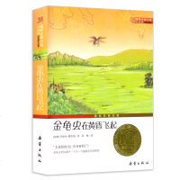 正版 国际大奖小说升级版 金龟虫在黄昏飞起 中小学生课外阅读 书籍 6-9-12岁 二三四五六年级 新蕾出版社