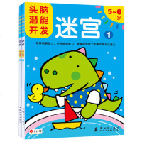 邦臣小红花 宝宝头脑潜能开发全2册5 6岁迷宫 幼儿园宝宝学习启蒙早教书