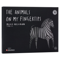正版黑白大卡·指尖上的动物(黑) 幼儿撕不烂早教书 宝宝故事书宝宝 翻翻看学字母看图识物识字认知大卡片
