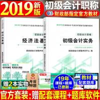 官方正版2019年新版初级会计考试专用教材 初会实务+经济法基础 全套2本 财政部指定2019初级会计职称考试教材用