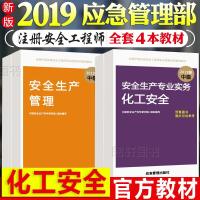 应急管理出版社中级注册安全师工程师2019官方考试教材注安师新版2019年全国安全师化工专业考试用书生产法律法规技术