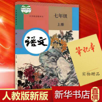 2019正版初中七年级上册语文书人教版部编版初一上册语文书课本