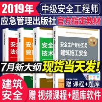 应急管理出版社2019年注册安全师工程师教材建筑施工化工其他道路安全生产专业实务技术基础法律法规全国中级官方注安师注