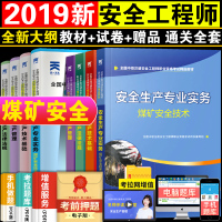 全国官方注册安全工程师2019考试用书教材+真题解析与命题密卷安全生产专业实务煤矿安全技术含法律法规 中级注册安全工