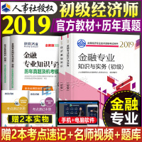 官方 发 官方初级经济师2019教材历年真题试卷金融专业4本套 经济基础知识+金融专业知识与实务2019年全国经济