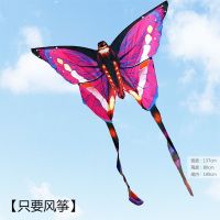 2022年新款儿童成人微风易飞蝴蝶风筝运动户外玩具网红立体风筝 粉色蝴蝶-只要风筝