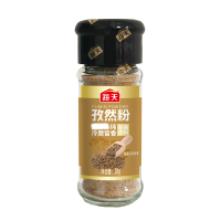 海天孜然粉28g