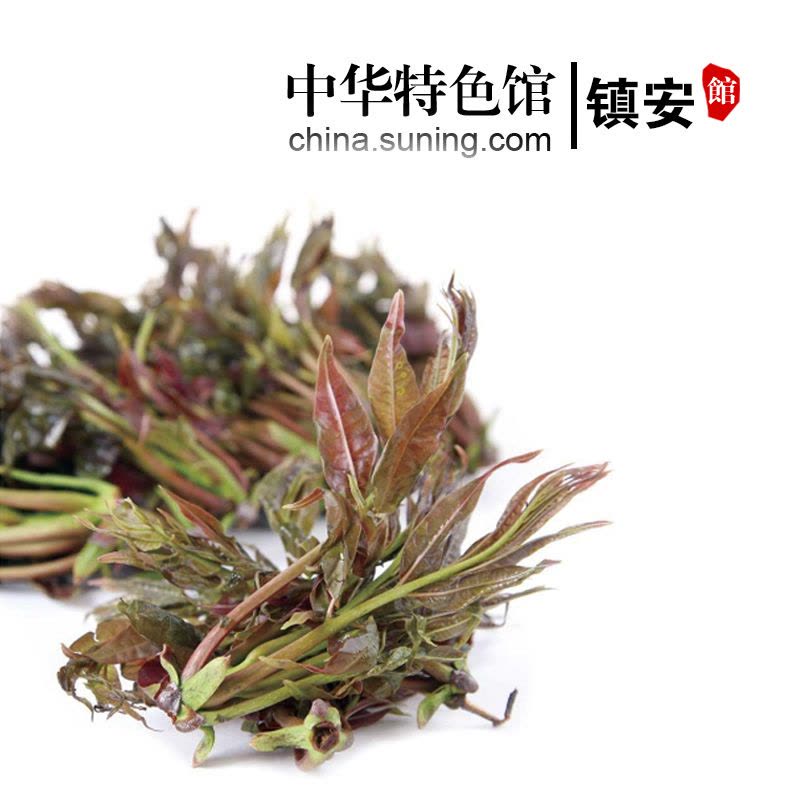 【中华特色】镇安馆香椿150g 塔云山 香嫩新鲜 春芽 腌制香椿菜 西北图片