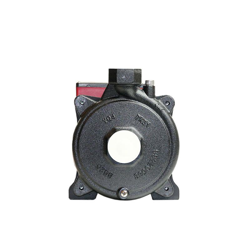 丹麦格兰富水泵春意系列SPRING N25-240-T-6循环泵管道泵加压泵离心泵图片