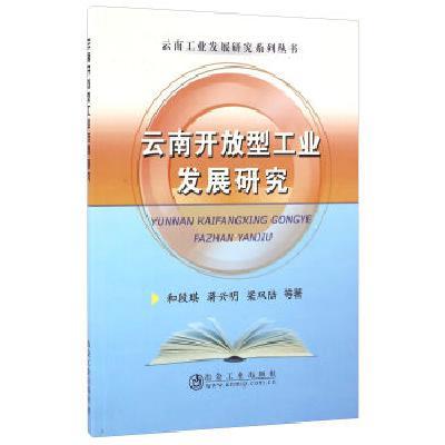 云南开放型工业发展研究/和段琪/冶金工业出版社