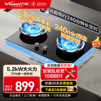 万和[蓝莲花B9DS]5.2kW天然气猛火70%热效率双边定时嵌入式家用煤气双炉具双灶台灶具燃气灶全新一代猛火灶液化气气