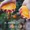 【中华特色馆】达州馆 三峡库区云阳生态脐橙15枚果 蜂谷美橙小甜甜纽荷尔脐橙