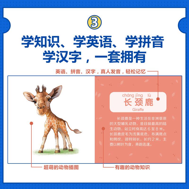 儿童立体书3d立体书翻翻书籍0-1-2-3-6岁周岁 撕不烂早教书会出声的防水可咬认字识字卡片看图识物学龄前婴儿宝宝图片