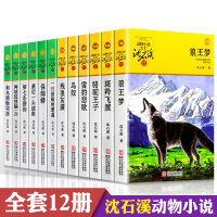 全套12册大王沈石溪动物小说全集系列 狼王梦正版斑羚飞渡后一头战象6-7-10-12岁儿童四五六年级