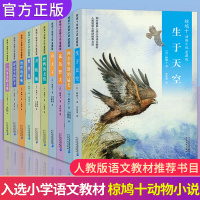 椋鸠十动物小说全集10册 野性的呼唤 孤岛野犬 月轮熊山大王生于天空四年级日本引进故事书 8-12岁小学生课外阅读书籍五