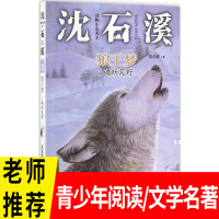 沈石溪动物小说单本全集注音版 狼王梦2*魂断荒野 一二三四年级小学生6-12周岁课外书籍儿童读物7-