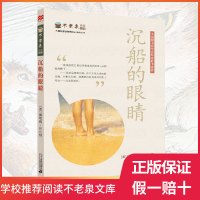 不老泉文库 9沉船的眼睛 麦克米伦世纪大奖小说 魔幻色彩小说 9-14岁小学生五六年级课外阅读 美国