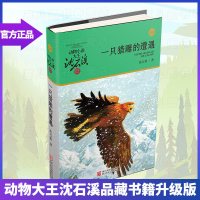 一只猎的遭遇 沈石溪动物小说品藏书系升级版 小学生课外阅读书籍6-12岁青少年版儿童文学三四五六年