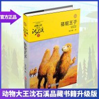 正版 骆驼王子 动物小说大王沈石溪品藏书系中小学生课外阅读书籍不带拼音儿童文学读物书籍 浙江