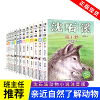 !沈石溪动物小说全集全系列全套13册经典单本太阳鸟和眼镜王蛇狼妻动物沈石溪的书全系列品藏书系小学