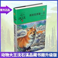 正版《再被狐狸一次》沈石溪动物小说品藏书系列 沈石溪系列儿童文学 适合8-12-15-18岁儿童读