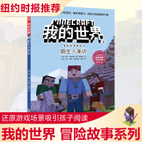 我的世界游戏书 冒险故事图画书单本5 陌生人来访 漫画书攻略生存指南3-6周岁幼儿读物6-12岁宝宝