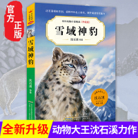雪域神豹 中外动物小说精品升级版 动物小说大王沈石溪等著 9-12岁儿童文学读物三四五六年级小学生课